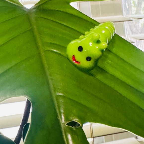 🍃50 Pack of PetalPals Plant Magnets!🍃 - Picture 3 of 12